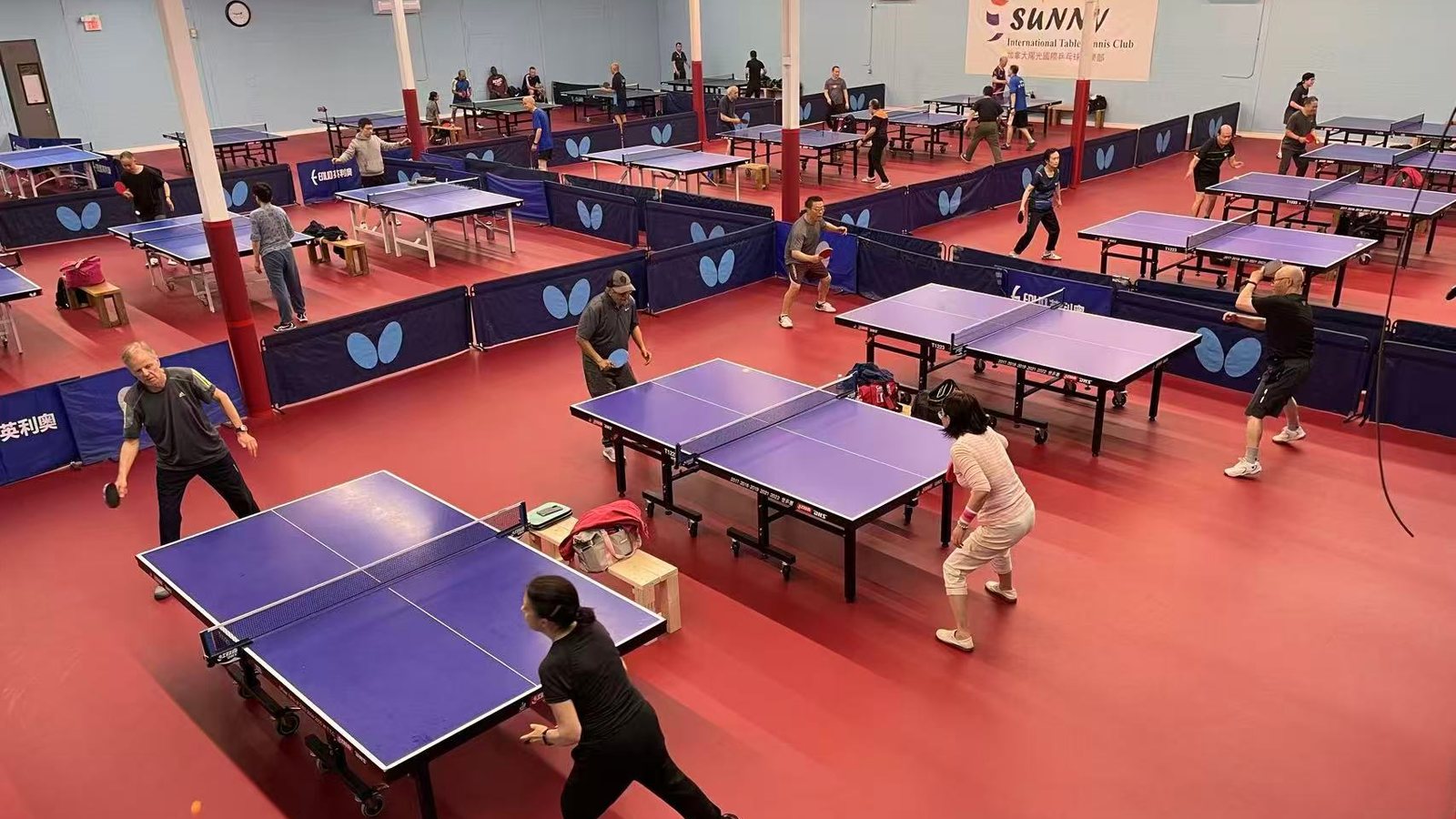 Busy open-play hall with blue tables at Sunny International Table Tennis Club